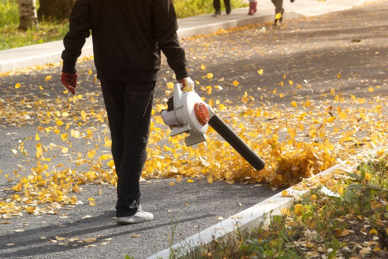 Leaf Vacuuming