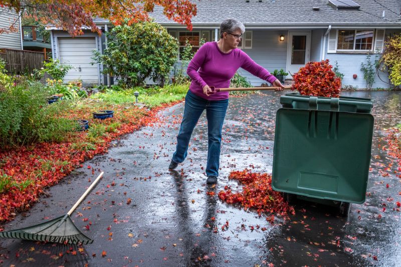 Preparing Lawn for Winter