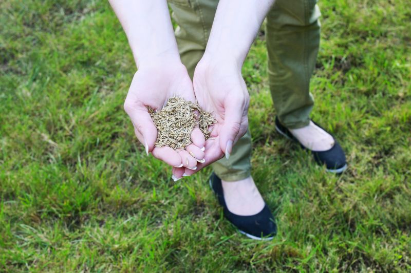 Healthy Grass in Fall
