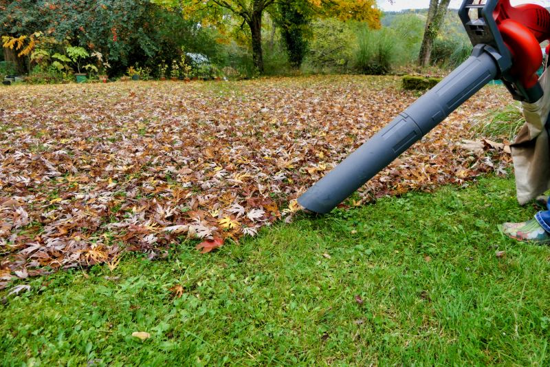 Fall Lawn Cleanup Tools